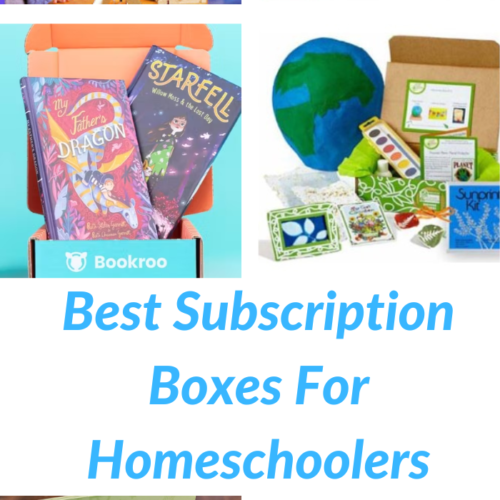 A collage with the best subscription boxes for homeschooling families.