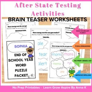 After state testing activities printables. This is a brain teaser puzzle activity packet. 