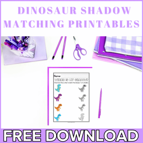 Free Dinosaur Shadow Matching Printables For Preschool