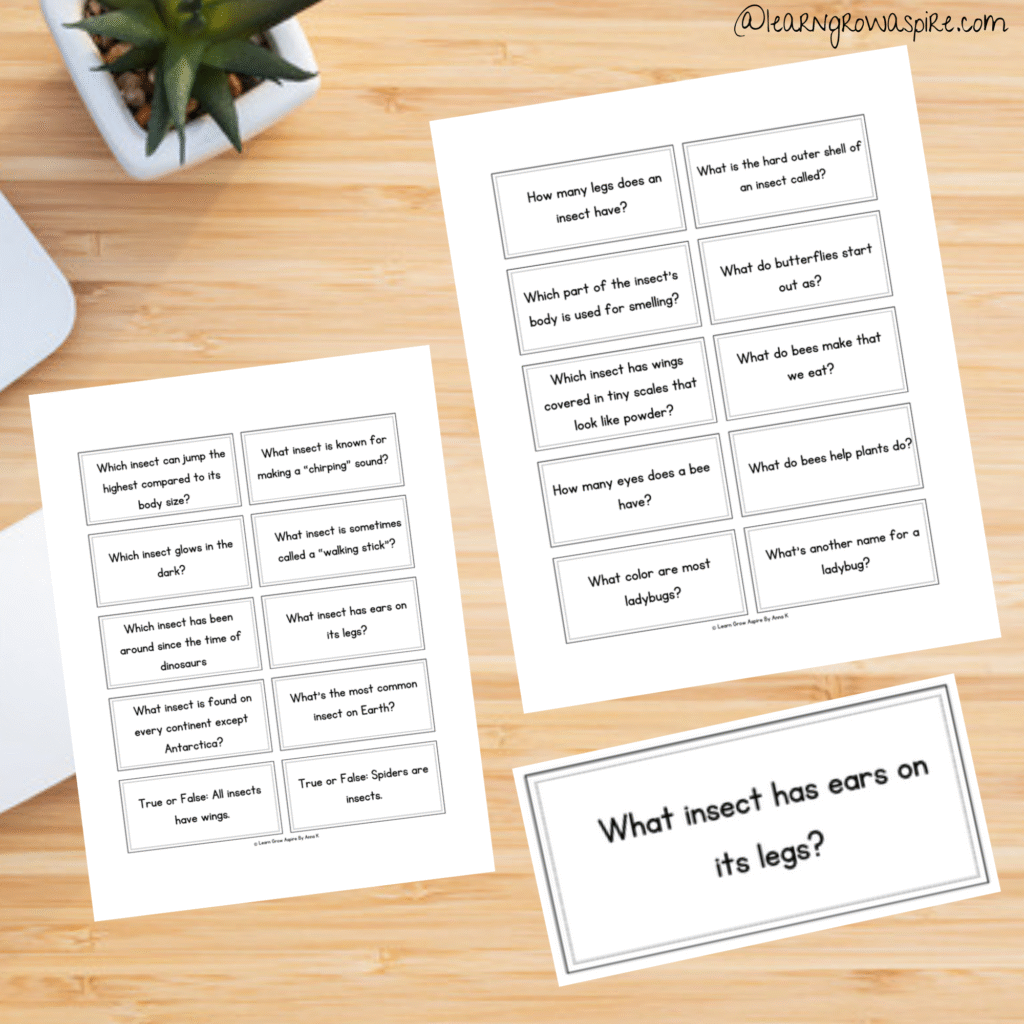 Simple insect trivia for kids with answers