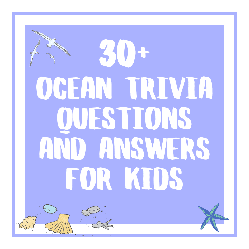 Ocean Trivia Questions And Answers For Kids