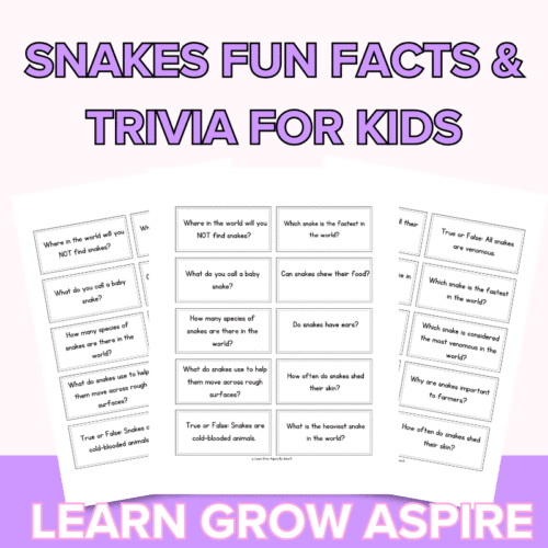 Snake Trivia For Kids With Answers