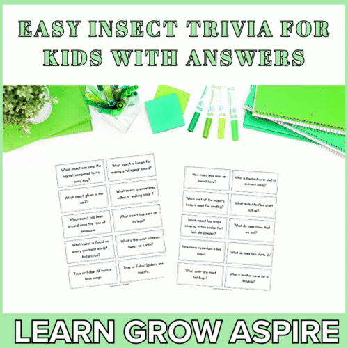 Easy Insect Trivia For Kids With Answers