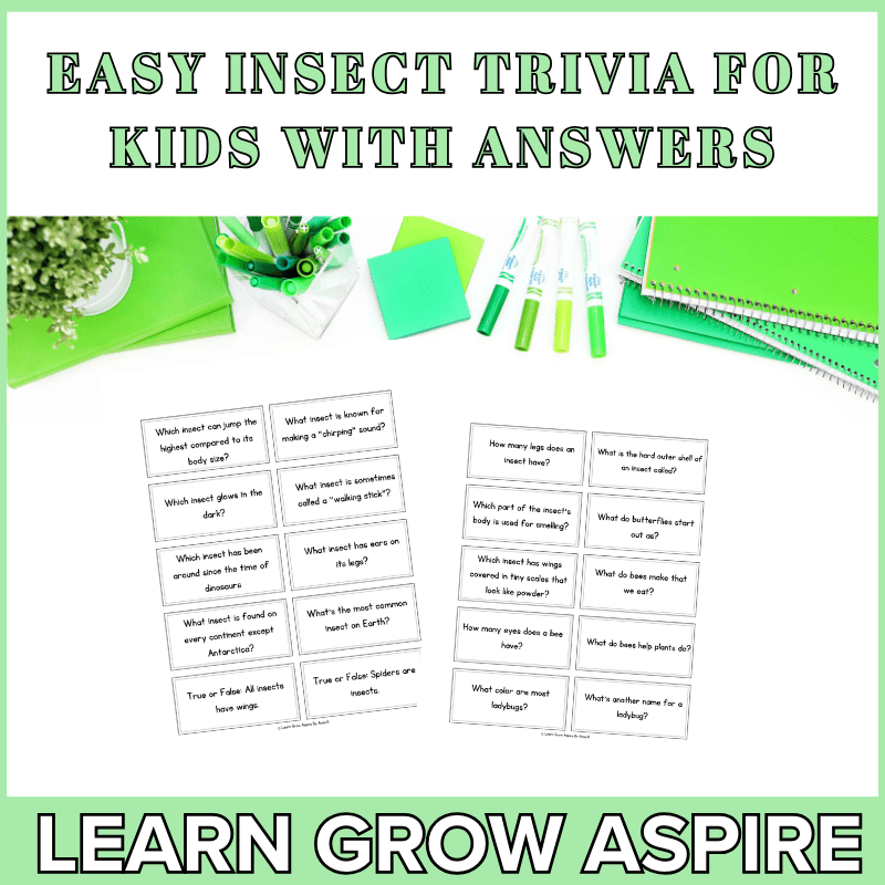Easy insect trivia questions for kids with answers + free printable pdf 
