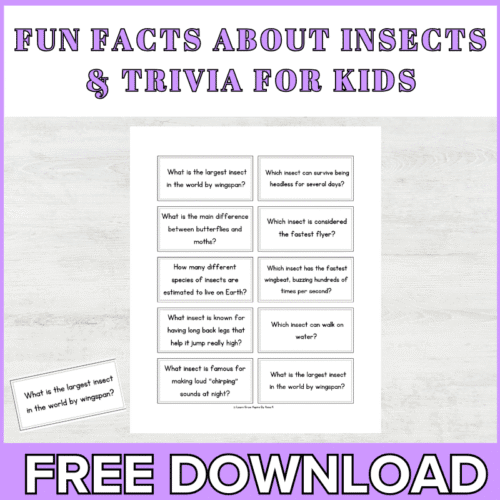 insect trivia for kids with answers