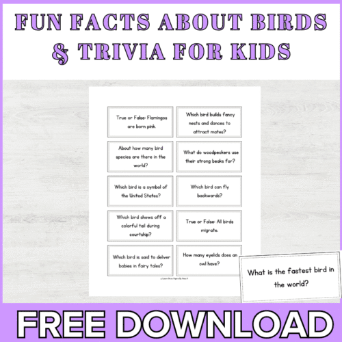 fun birds trivia questions and answers