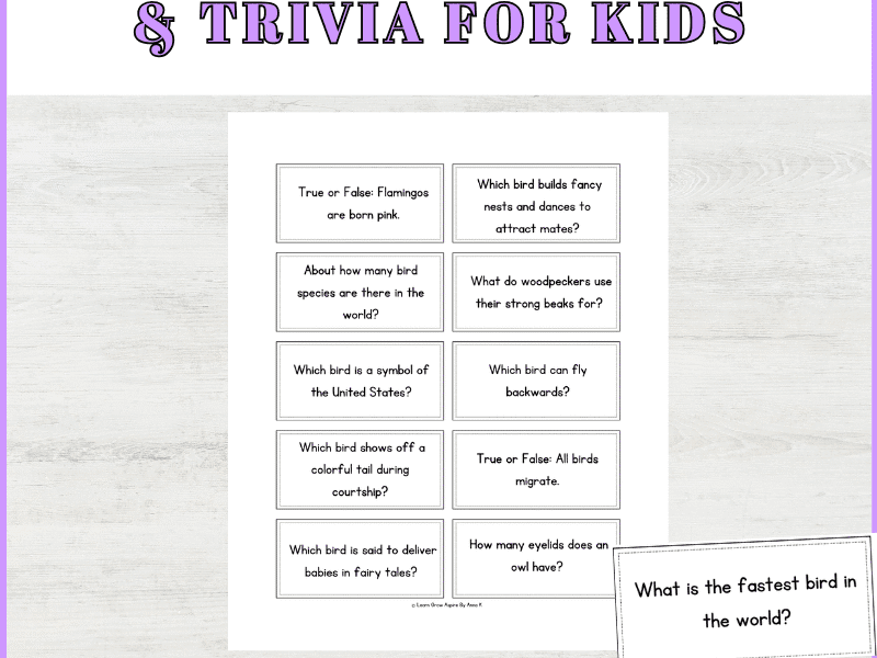 Bird Trivia Questions And Answers For Kids