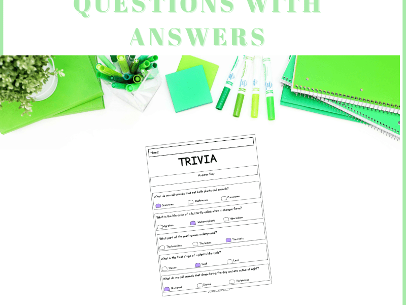 Grade 3 Science Questions With Answers