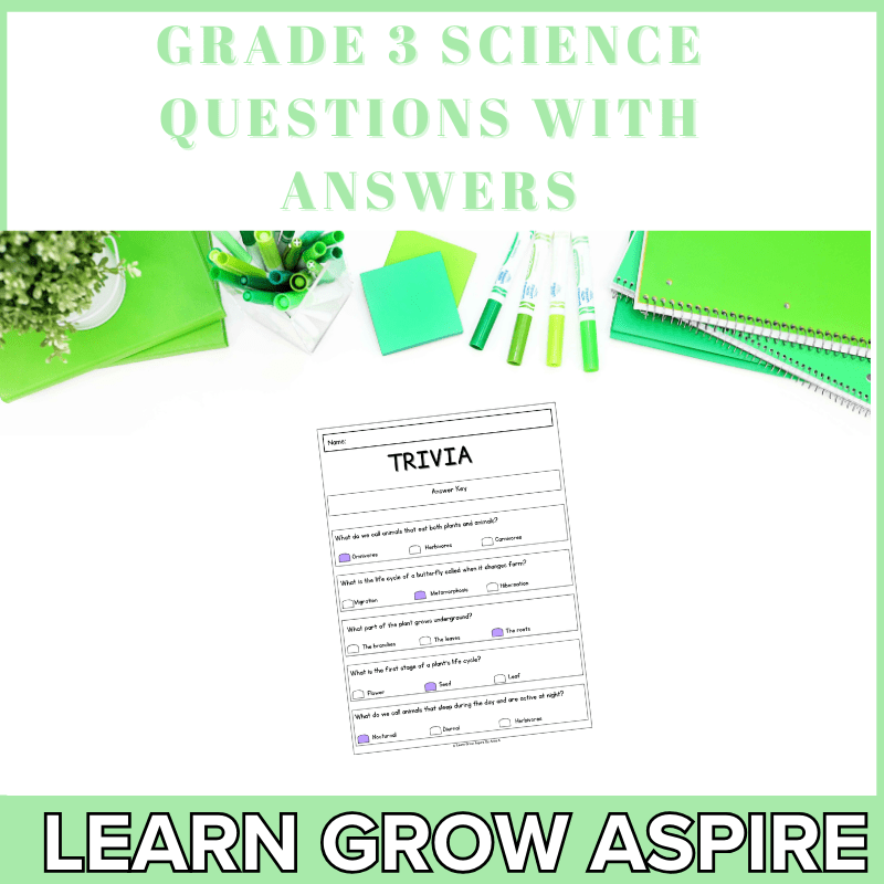Grade 3 Science Questions With Answers