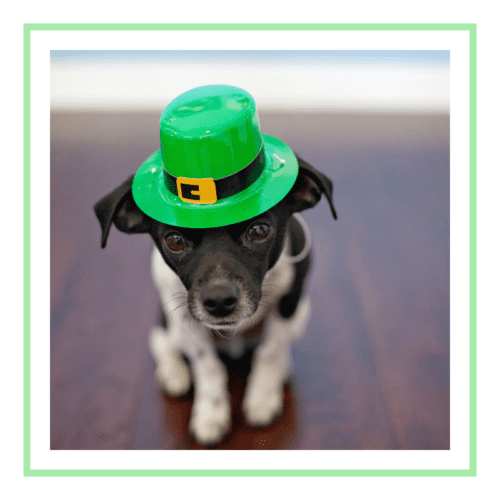 St Patrick’s Day Trivia Questions And Answers