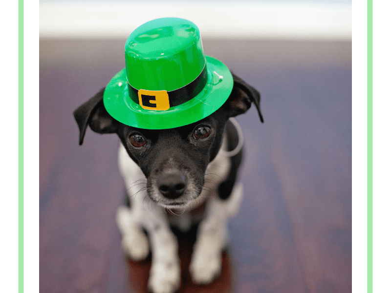 St Patrick’s Day Trivia Questions And Answers